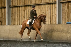 Isis Dressage Crown Farm Show 29th April 2012